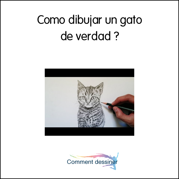 Cómo dibujar un gato de verdad
